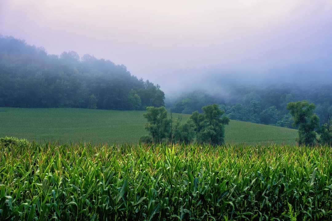 african health farm